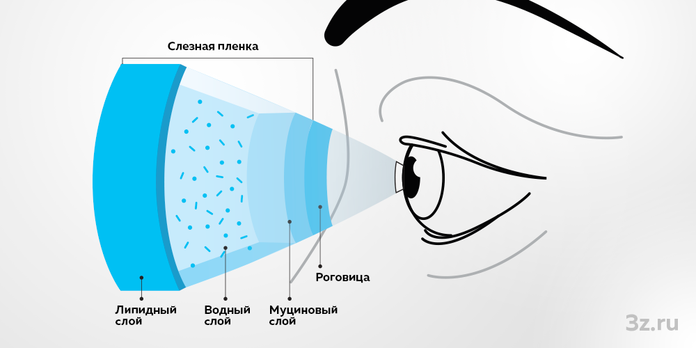 Доклад по теме Причины возникновения и проявления синдрома сухих глаз